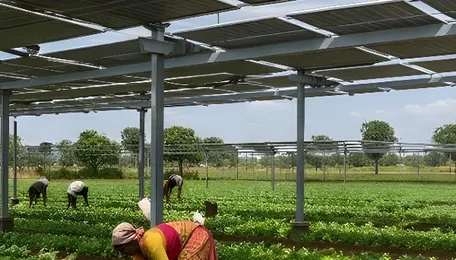 TERI Says Grid, Financing—Not Land—Will Determine India's Solar Growth 