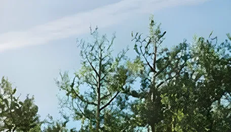 India’s Energy Transformation: From power scarcity to sustainable growth 