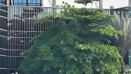 Panvel Civic Budget Focuses On Infrastructure And Services