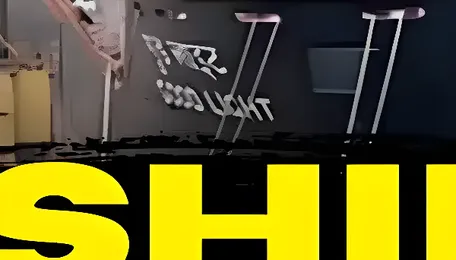 Ship Recycling in India and the New Green Recycling – Explained 