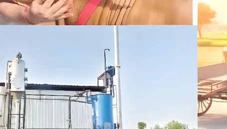 Gaumutra, gobar and growth-India’s billion-dollar brown revolution 