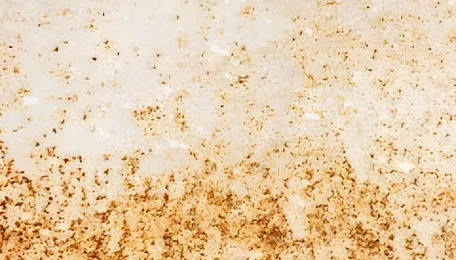 Corrosion in oil and gas systems demands integrated chemical strategy, experts warn 