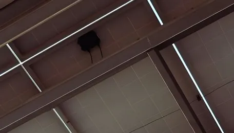 Kochi rooftop PV growth has hit transformer limits 