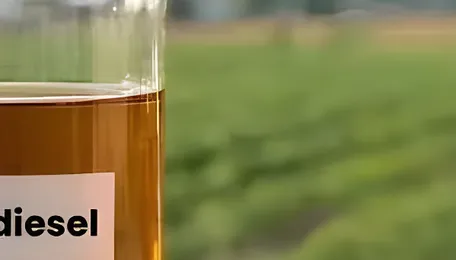 US Biodiesel Prices Stabilize in January 2026 as Supply Disruptions Offset by Weak Demand