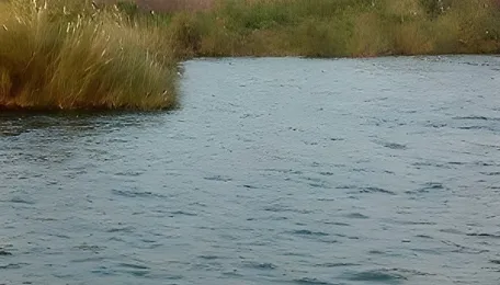 Pune Riverfront Debate Raises Ecological Concerns