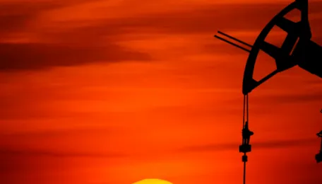 Oil’s Long Goodbye: From Shocks to Transition 