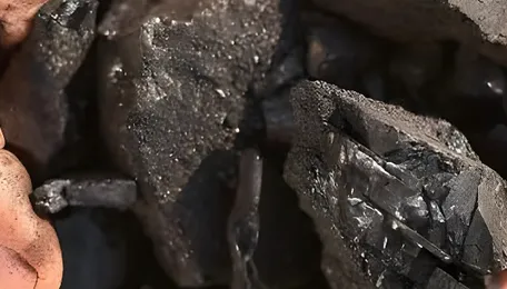 LPG shortage pushes Jaipur to induction, coal; prices surge