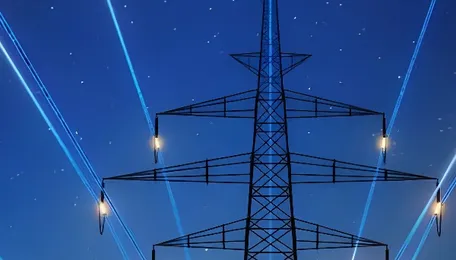 Power supply returns to Odisha village after two decades after CM's intervention