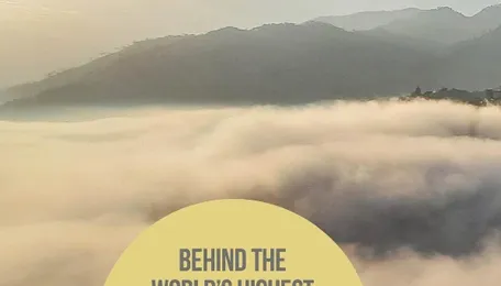 The Bridge that Redefined the Impossible 