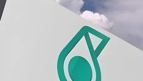PetChem to gain from high prices 