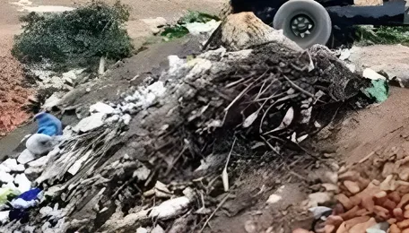 BMC Digital System To Monitor Construction Waste