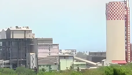 Peddapalli's Ramagundam Fertilizers and Chemicals Ltd blast disrupts urea production 