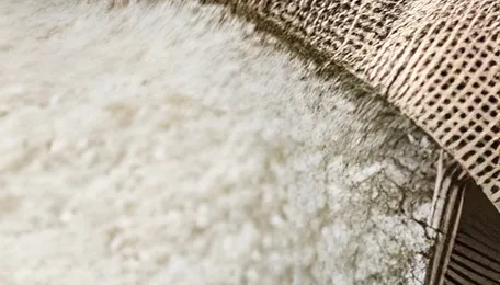 Basmati rice, tea exports to West Asia come to a grinding halt