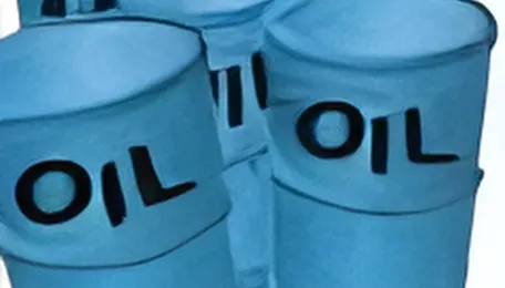 Argentina’s CGC to start Vaca Muerta drilling while boosting heavy crude output
