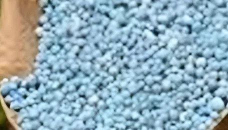 Fertiliser stocks rally up to 16% 