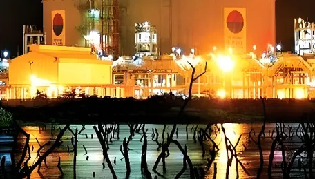 Why India's LNG Buying Surges Despite Costly Gas 