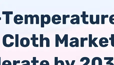 World High-Temperature Ceramic Fiber Cloth - Market Analysis, Forecast, Size, Trends and Insights 