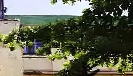 Panvel Municipal Corporation Reviews Complaints After GREW Movement Documents Trees Choked In Panvel