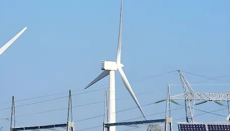 MNRE Eyes Bigger Role in Renewable Energy Governance, Distinct from MoP 