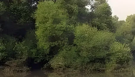 Thane Mangrove Diversion Advances Metro Connectivity