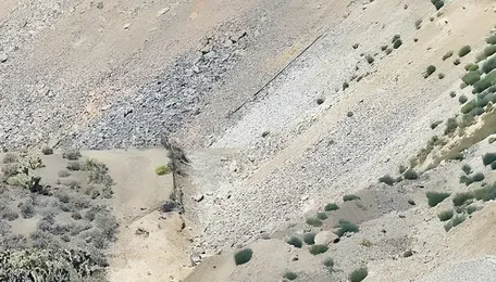 Andhra Pradesh gives strategic push to tapping potential of rare earths and beach sand minerals 