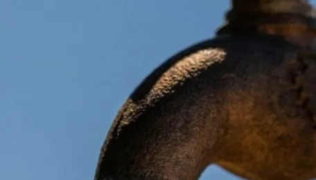 Pune Water Supply Shutdown In Southern Areas