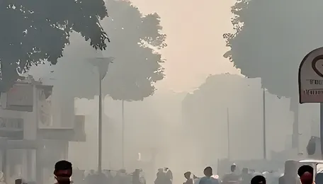 Bengaluru Air Pollution Decline Signals Slow Improvement