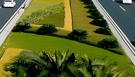 When Roads Grow Green: Rethinking India’s Highway Infrastructure 