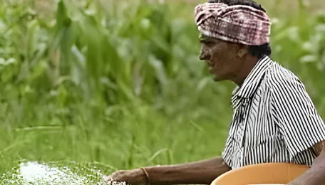 Pune Fertiliser Shortage Adds Pressure On Farmers