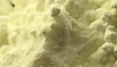 Sulfur exports from Russia halted due to domestic shortage 