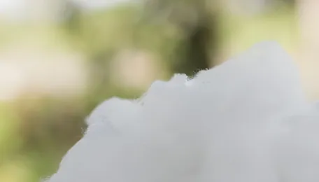 | India's textile sector to gain from petrochemical duty easing 