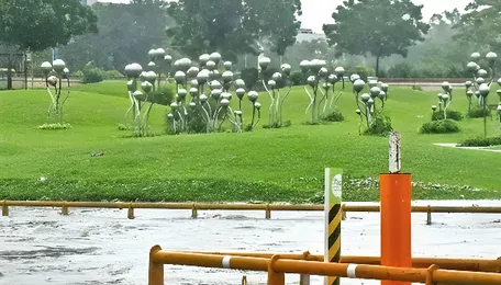 Delhi Drainage Plan Seeks Faster Monsoon Response