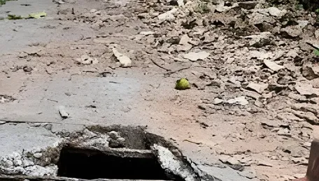 Bengaluru Footpath Drive Raises Debris Management Concerns