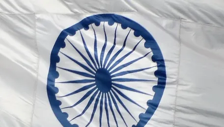 Indian power utility invites bids for a 100 MWh vanadium redox flow battery - ess