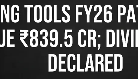 Sterling Tools Declares ₹2.75 Dividend, Invests ₹20 Cr in EV Unit 