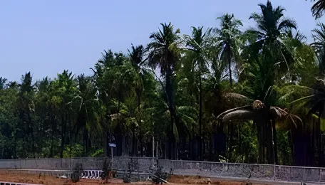 Trichy Moves To Fix Highway Safety Gaps