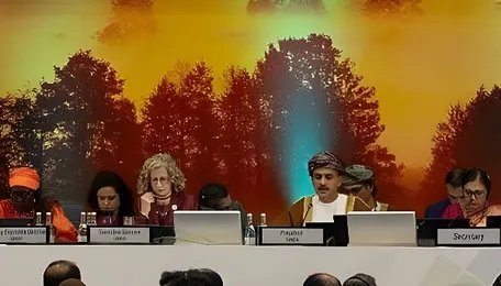 UNEA-7 adopts 11 resolutions, including India’s wildfire management proposal 