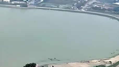 Chennai Manali Lake Restoration Triples Capacity And Reduces Flood Risk After Monsoon