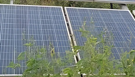 Karnataka Speeds Solar Pumps For Rural Energy