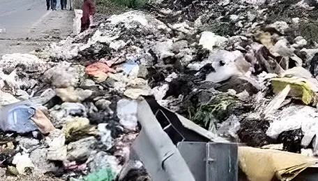 Patna Cleanliness Drive Targets Urban Waste Hotspots