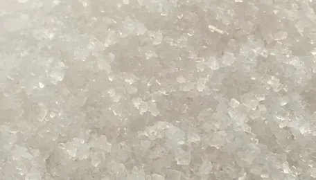 Which State is the Largest Producer of Sugar in India? 