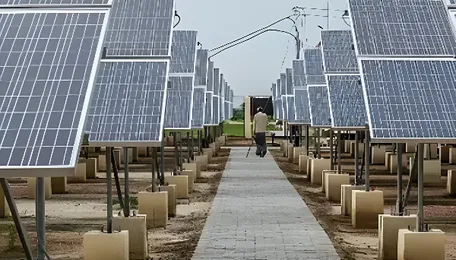 India Solar PV News Snippets: RE Procurement Tender Cancellations Over 11 GW Since 2023 and More 