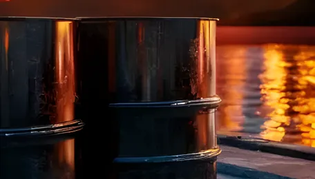 Russia offers to boost oil and LNG supplies to India amid West Asia crisis 