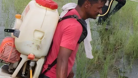 Farmers may switch to organic farming as war hits fertiliser supply 