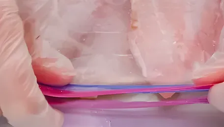 Taiwan’s plastic packaging shortage sparks Costco purchase limits 