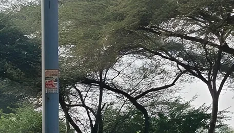 Misleading road signs on Sirsa highway confuse travellers 