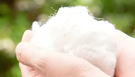India's polyester industry seeks extension of PTA, MEG duty relief 