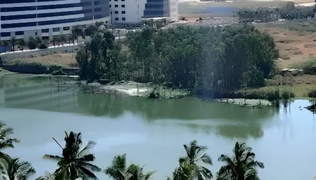 Bengaluru Apartments Face Pollution Checks Near Electronics City