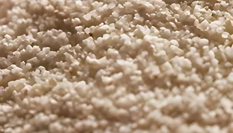 Potassium Chloride Market to Worth Over US$ 38.28 Billion by 2033 | Astute Analytica 