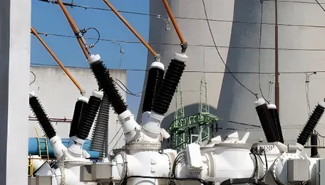 CEA Calls for Lowering Thermal Load to Restrict Renewables-Induced Duck Curve 